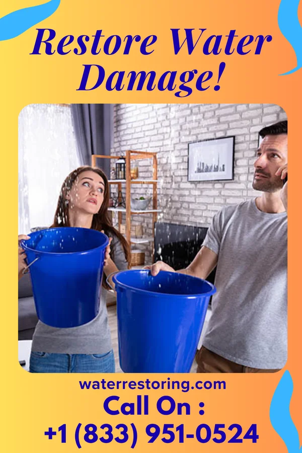 water restoration First Water Removal Contractors Lubeck