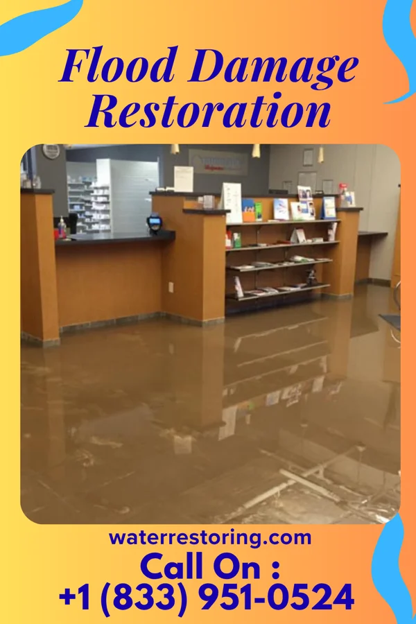 Flood Damage Restoration in Lubeck, WV