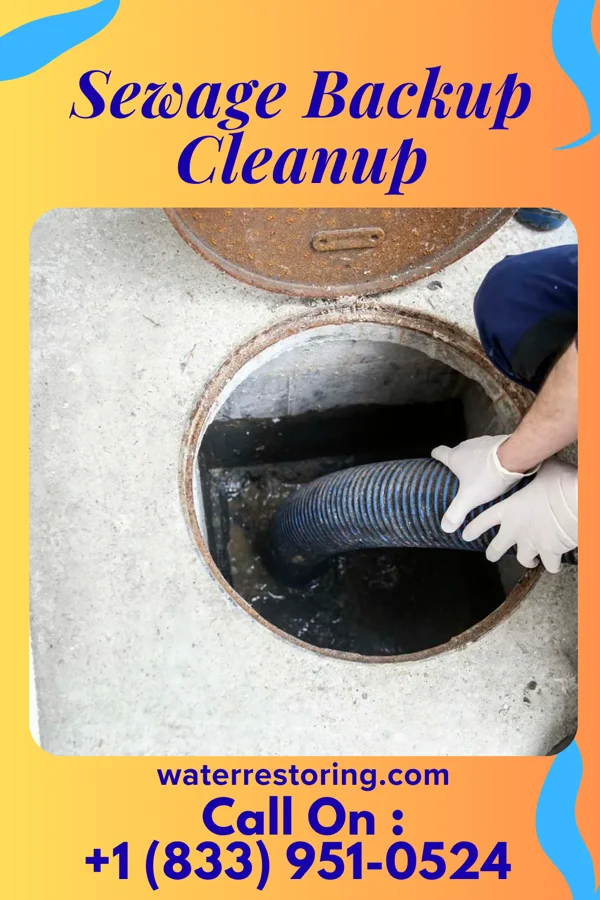 Sewage Backup Cleanup in Lubeck, WV