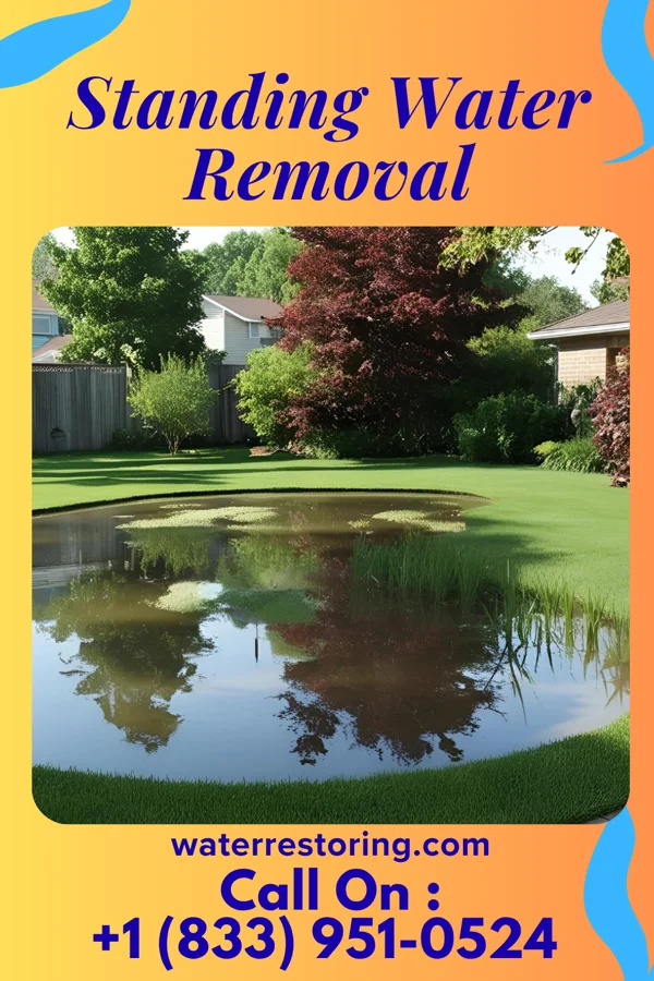 Standing Water Removal in Lubeck, WV